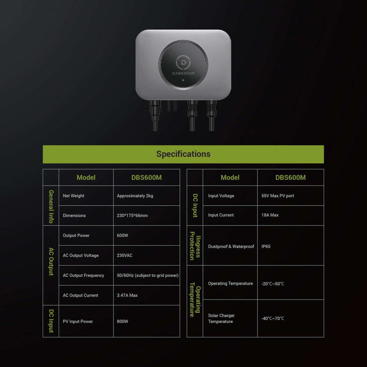 Dabbsson DBS600M Mikrowechselrichter